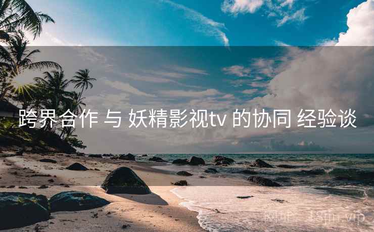 跨界合作 与 妖精影视tv 的协同 经验谈