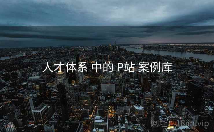 人才体系 中的 P站 案例库 人才体系 中的 P站 案例库