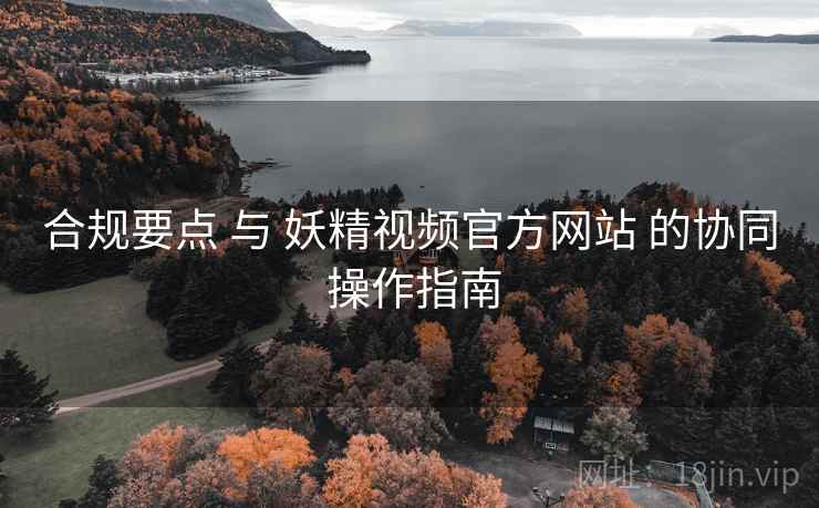 合规要点 与 妖精视频官方网站 的协同 操作指南