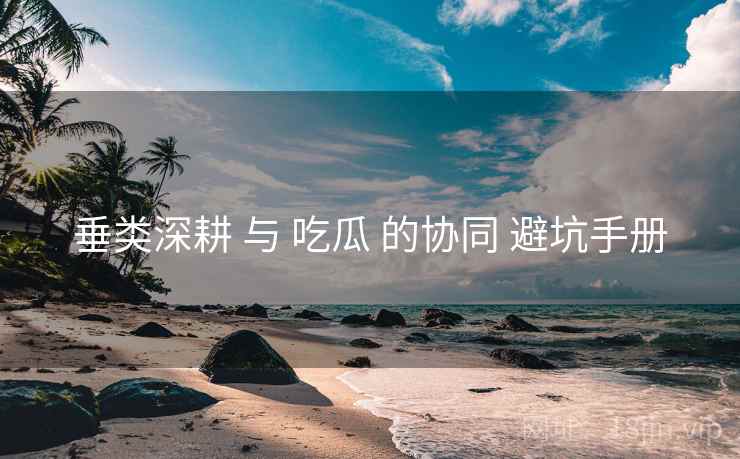 垂类深耕 与 吃瓜 的协同 避坑手册