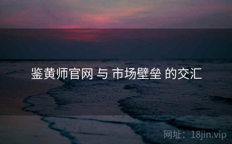 鉴黄师官网 与 市场壁垒 的交汇 鉴黄师官网 与 市场壁垒 的交汇