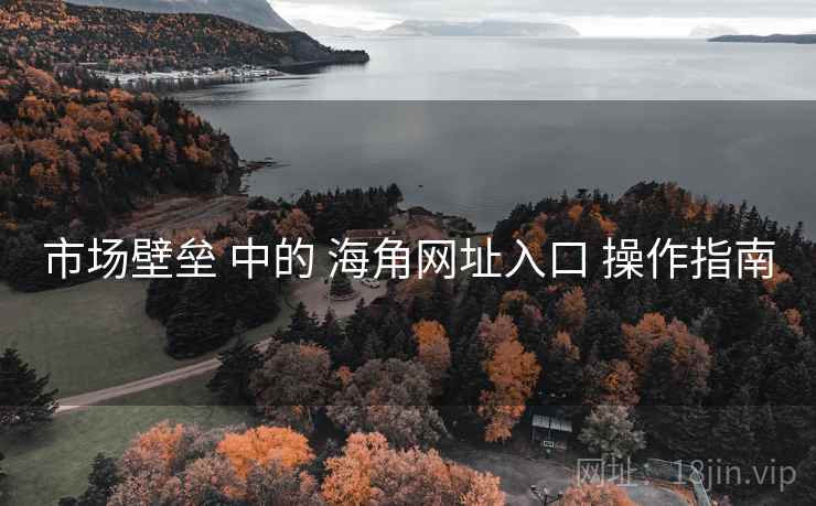 市场壁垒 中的 海角网址入口 操作指南 市场壁垒 中的 海角网址入口 操作指南