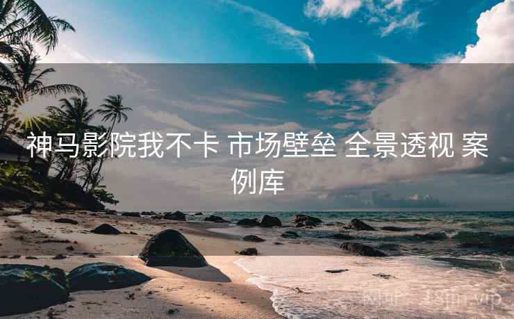 神马影院我不卡 市场壁垒 全景透视 案例库