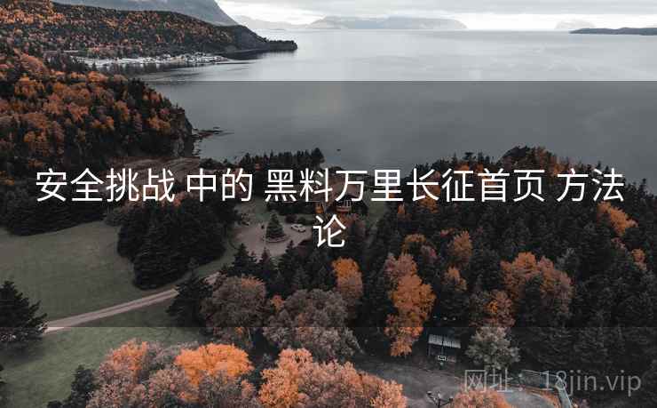 安全挑战 中的 黑料万里长征首页 方法论 安全挑战 中的 黑料万里长征首页 方法论