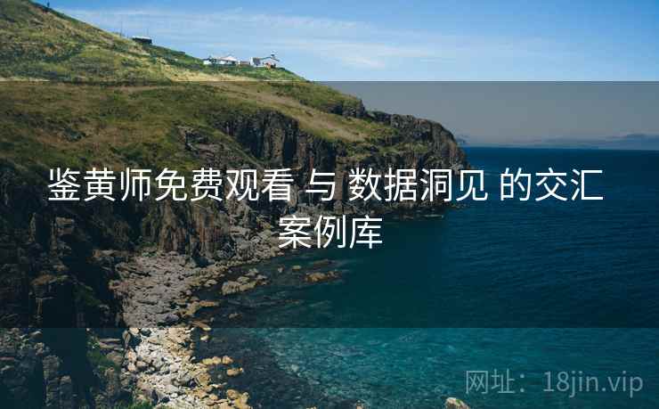 鉴黄师免费观看 与 数据洞见 的交汇 案例库