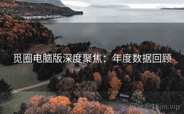 觅圈电脑版深度聚焦：年度数据回顾