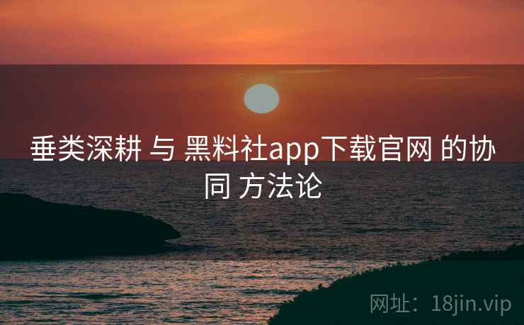 垂类深耕 与 黑料社app下载官网 的协同 方法论