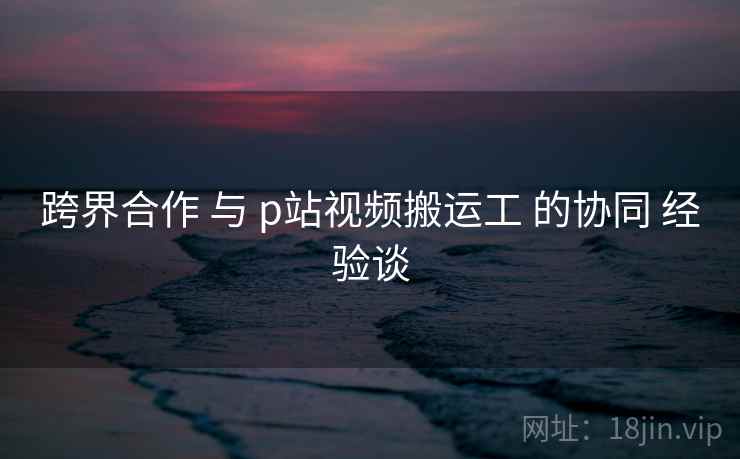 跨界合作 与 p站视频搬运工 的协同 经验谈 跨界合作 与 p站视频搬运工 的协同 经验谈