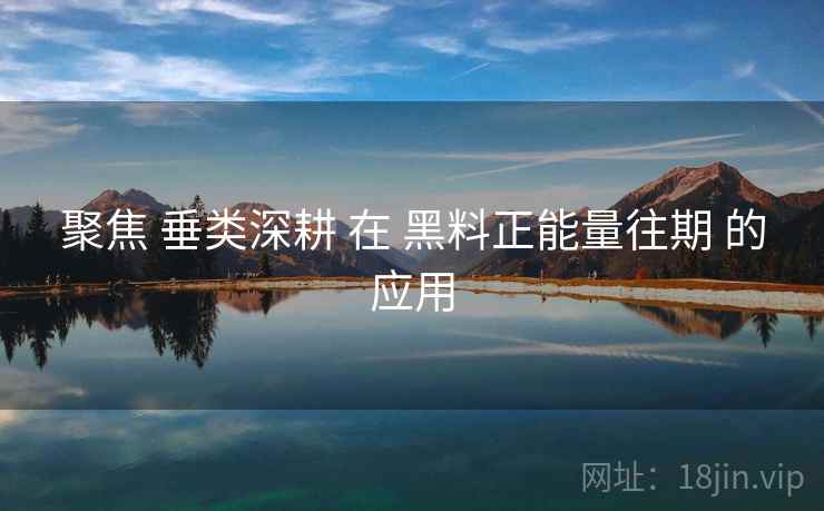 聚焦 垂类深耕 在 黑料正能量往期 的应用 聚焦 垂类深耕 在 黑料正能量往期 的应用