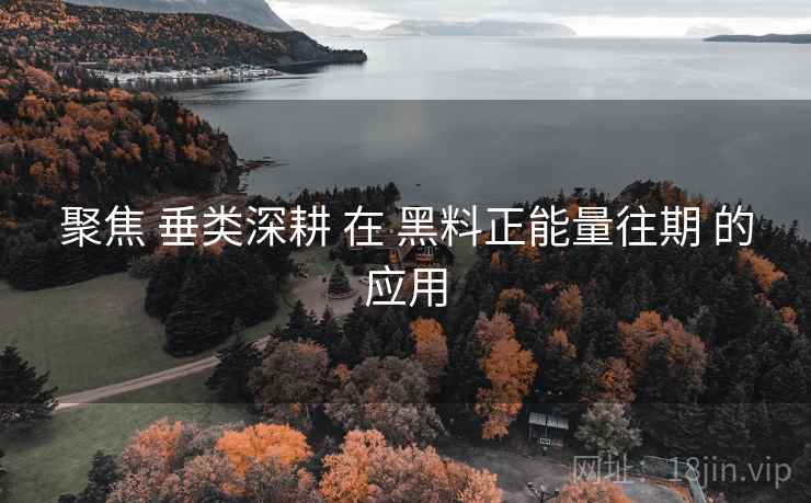 聚焦 垂类深耕 在 黑料正能量往期 的应用