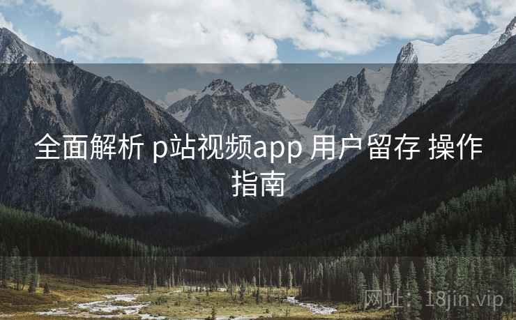 全面解析 p站视频app 用户留存 操作指南