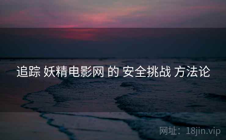 追踪 妖精电影网 的 安全挑战 方法论